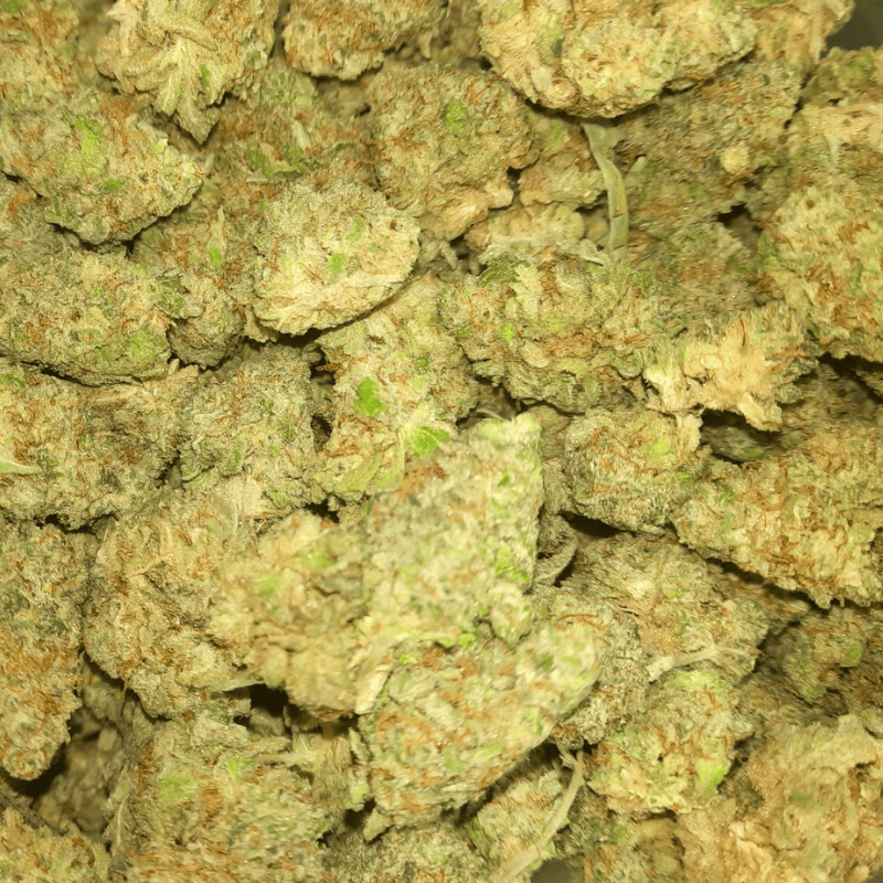 Alien OG AA – Budget